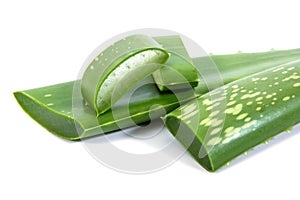 Fresh aloe vera sliced with leaf isolated