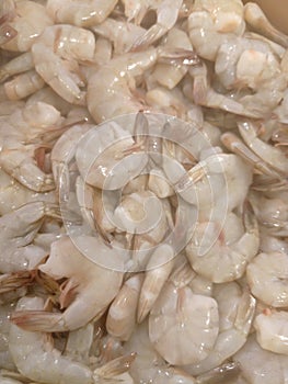 The fresh alot of shrimp sell in supermarket photo