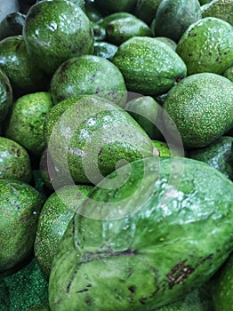 Fresh Alvocado Fruit