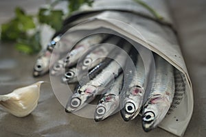 Fresh anchovies