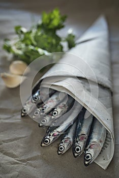 Fresh anchovies