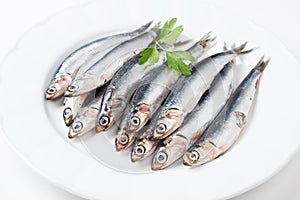 Fresh anchovies in a dish