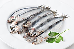 Fresh anchovies