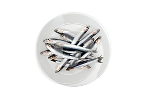 Fresh anchovies in the plat