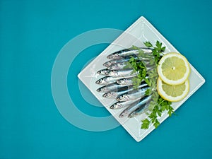 Fresh anchovies in a plate on a blue background photo