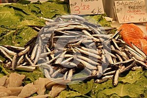 Fresh anchovies on salad leaves