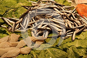 Fresh anchovies on salad leaves