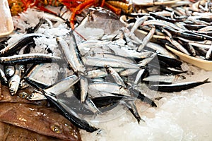 Fresh anchovies for sale at market