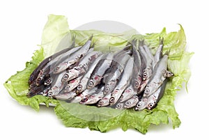 Fresh anchovies on a try.