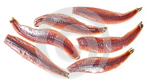 Fresh anchovy fillets floating on transparent background
