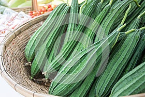 Fresh Angled loofah, Angled Gourd (Luffa acutangula Roxb.) fruit