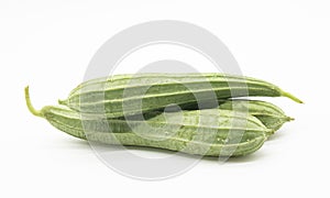 Fresh Angled luffa over on white background