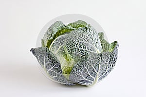 Fresh and appetizing cabbage with intricate leaf patterns on a clean white background