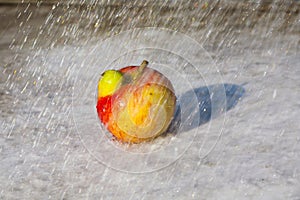 Fresco manzana en la lluvia 