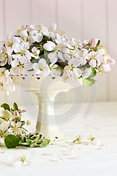 Fresh apple blossoms on table