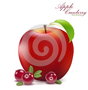 Fresh apple and cranberry design elements isolated on white back