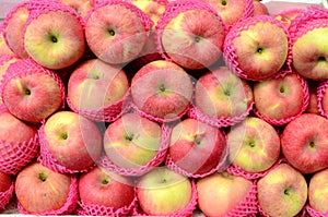 Fresh apple fruit symmetrically to attract buyers at market stall photo