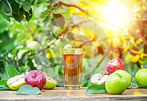 Fresh apple juice and organic apples on wooden table.  Summer orchard in the evening sun rays at the background