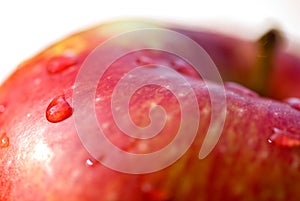 Fresh apple on white background
