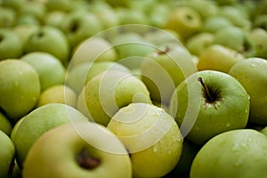 Čerstvý jablka 