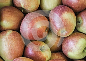 Fresh apples `Braeburn ` variety grown in the apple country South Tyrol, northern Italy