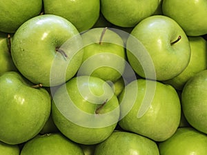 Fresh apples `Granny Smith ` variety grown in the apple country South Tyrol, northern Italy.