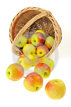 Fresh apples spilling out of basket - isolated on