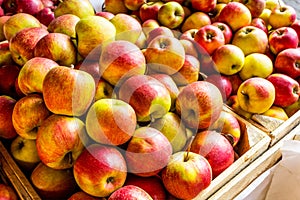 Fresh apples stand at the city market, Krakow, Poland