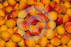 Fresh apricot background. Ripe apricots fruit background. Fresh organic apricots close up