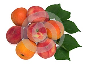 Fresh apricot fruits, fig peaches and leaves isolated on white background