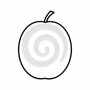 Fresh apricot icon, outline style