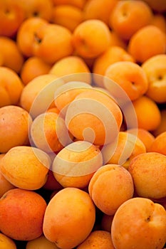 Fresh apricots