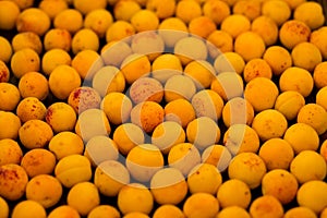 Fresh apricots as background, texture, fruit composition