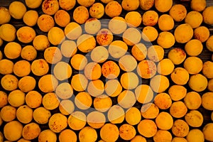 Fresh apricots as background, texture, fruit composition