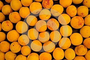 Fresh apricots as background, texture, fruit composition