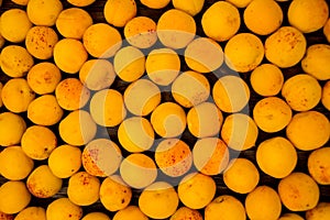 Fresh apricots as background, texture, fruit composition