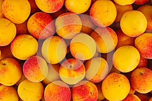 Fresh apricots background