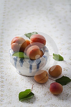 Fresh apricots in a bowl