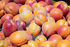 Fresh apricots in a farmer agricultural open air market, seasonal healthy food