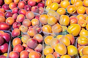 Fresh apricots in a farmer agricultural open air market, seasonal healthy food