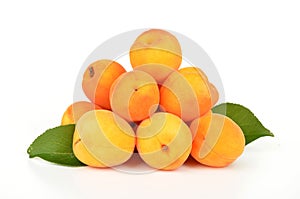 Fresh apricots isolated on white background