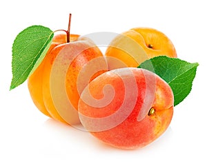 Fresh apricots with leaves close-up isolated on a white background