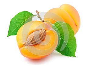 Fresh apricots with leaves on white background, one halved to expose seed