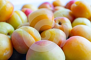 Fresh apricots lie in a pile. Fresh crop. Great background