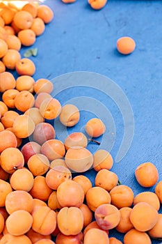fresh apricots on a tray on a bazaar counter