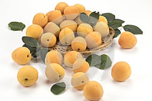 Fresh apricots on a white background with leaves