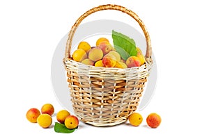 Fresh apricots in wicker basket isolated on white background