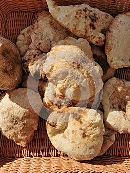 fresh arabian bread from the Egypt