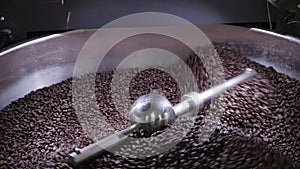 Fresh arabica coffee beans roasted in professional machine