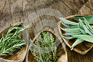 Fresh aromatic herbs photo